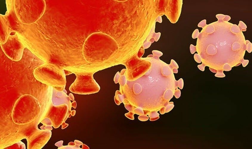 CORONAVIRUS HEADER