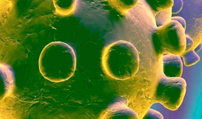 coronavirus header