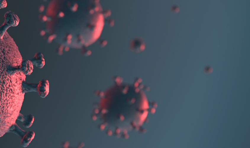 virus y bacterias header